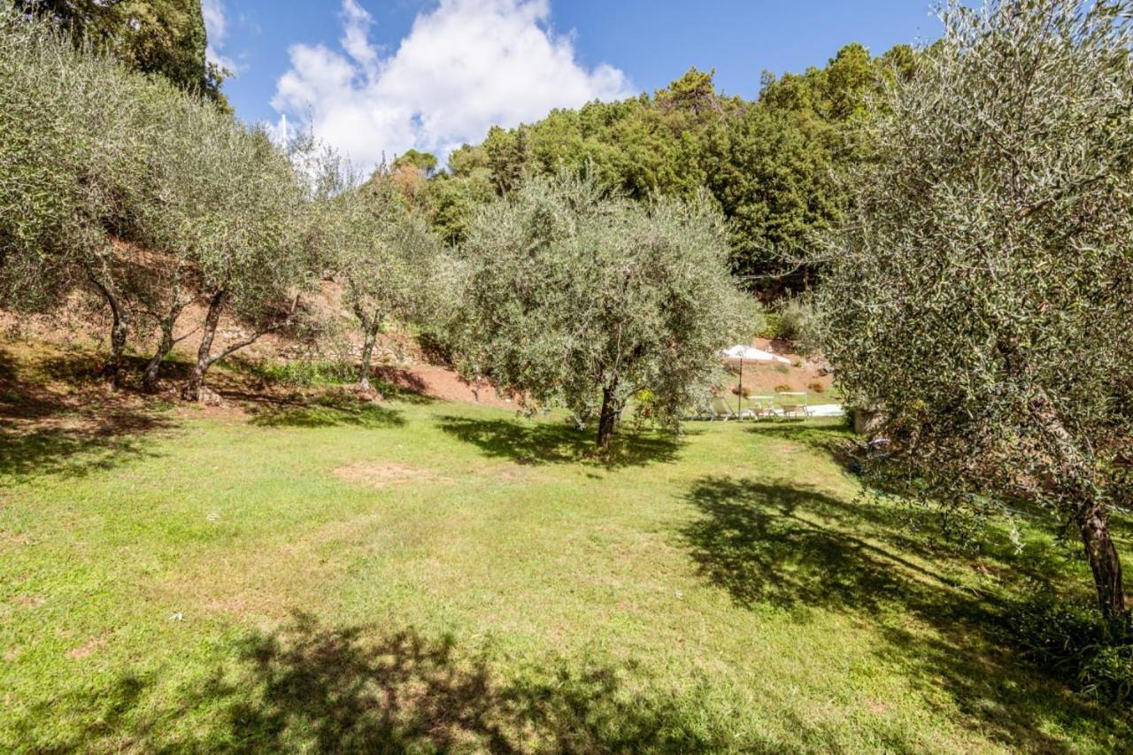 Al Giardino Degli Ulivi Santa Maria Albiano Exterior foto